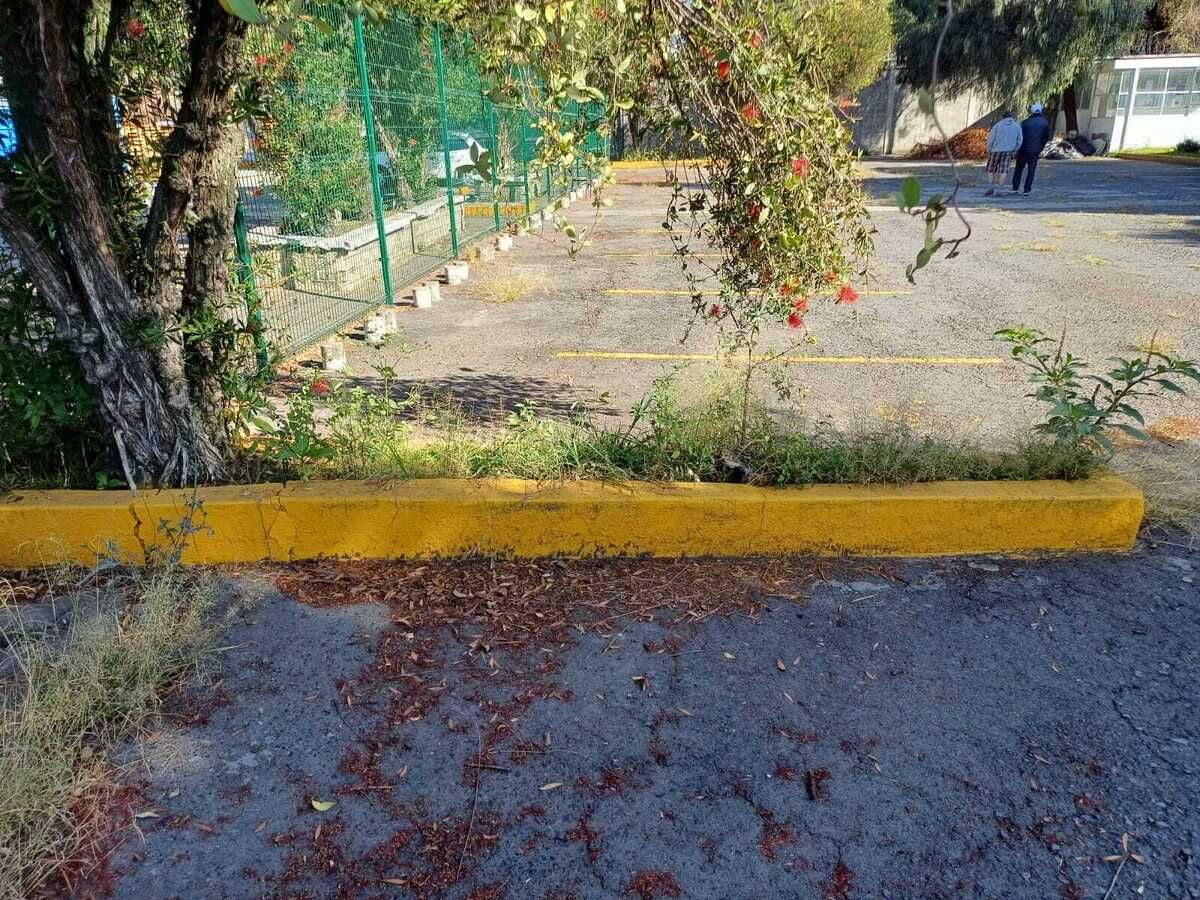 3 de 6