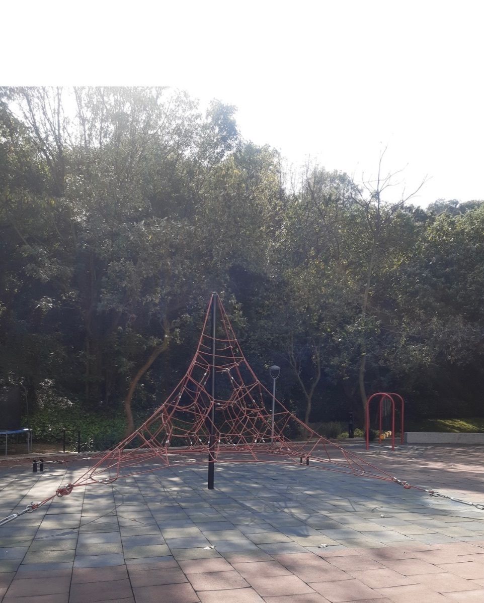 3 de 24
