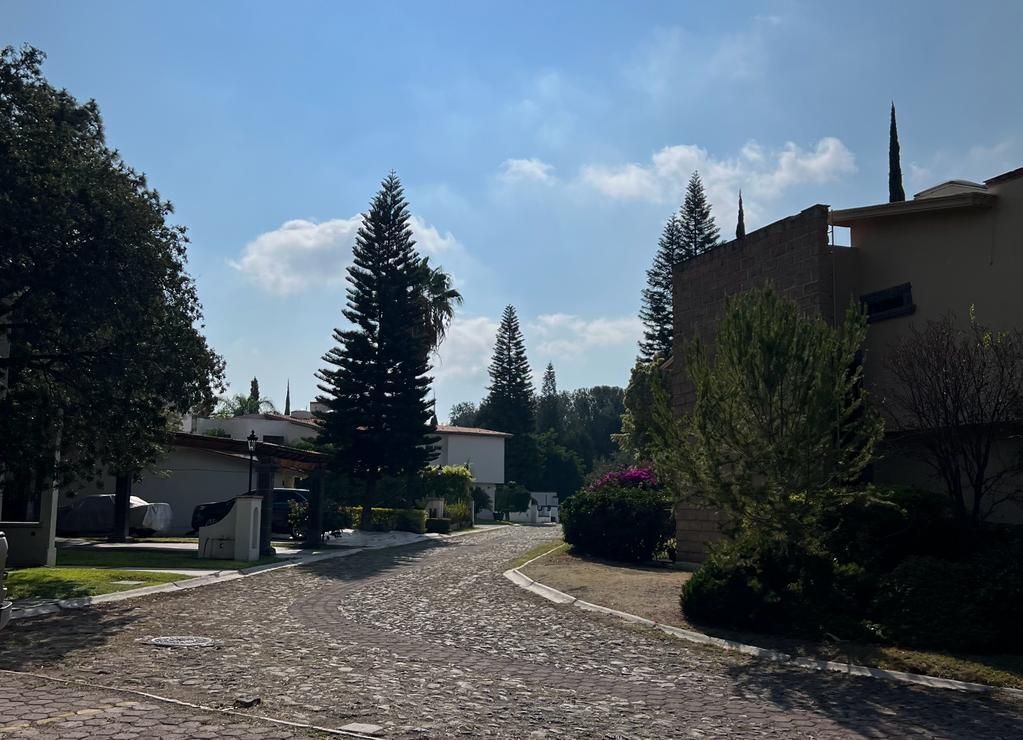 8 de 35