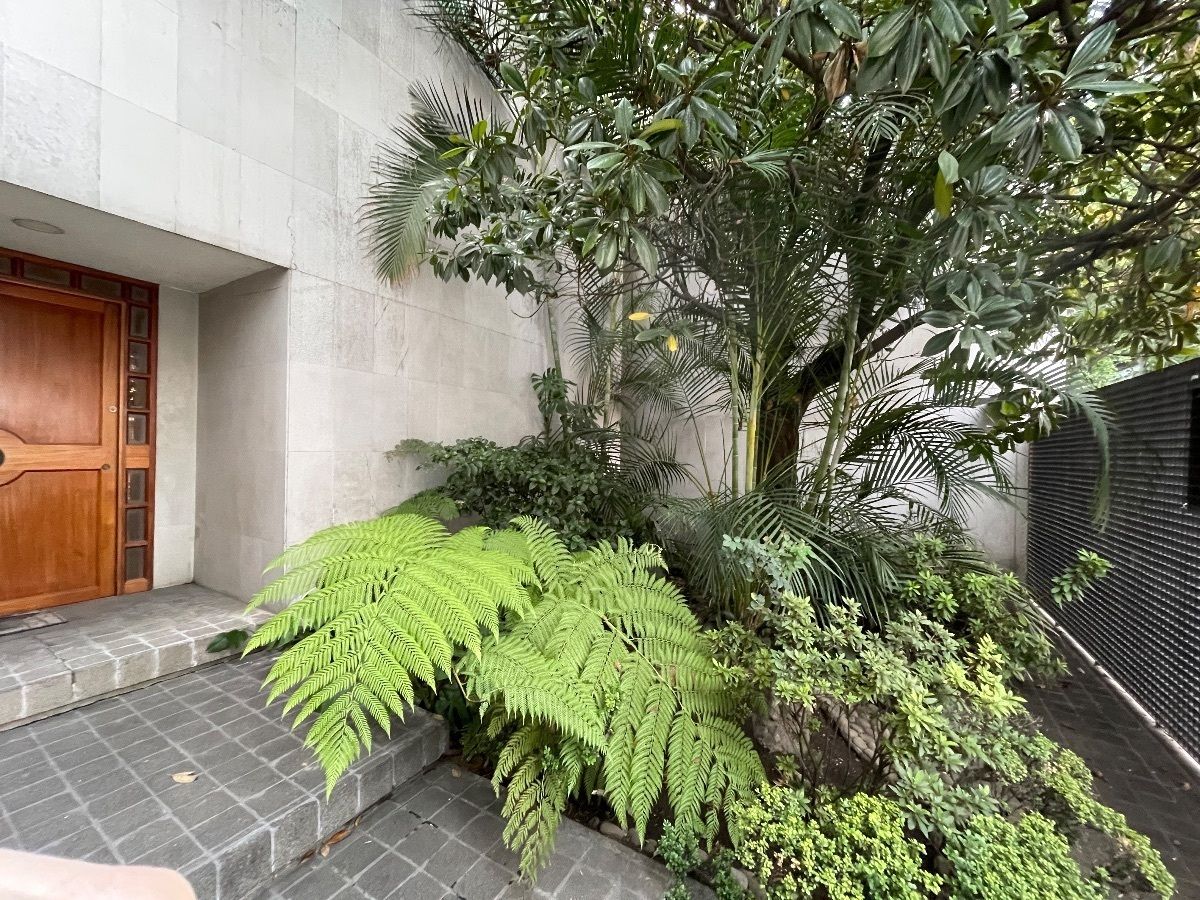 Jardín de acceso principal