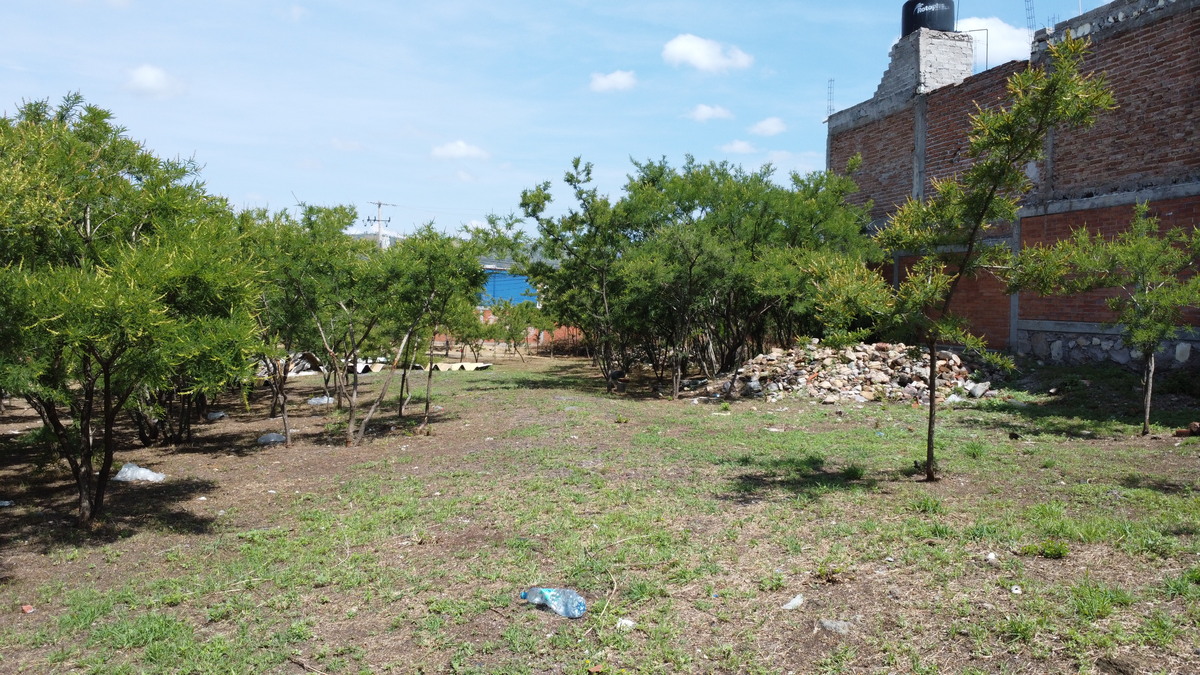 4 de 6: Plano