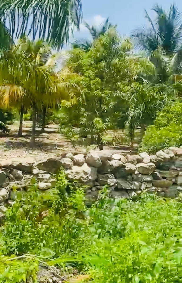 2 of 9