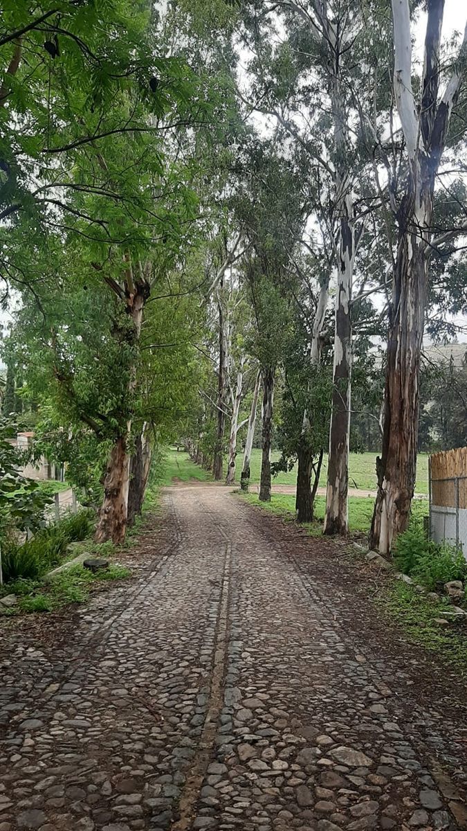 2 de 10