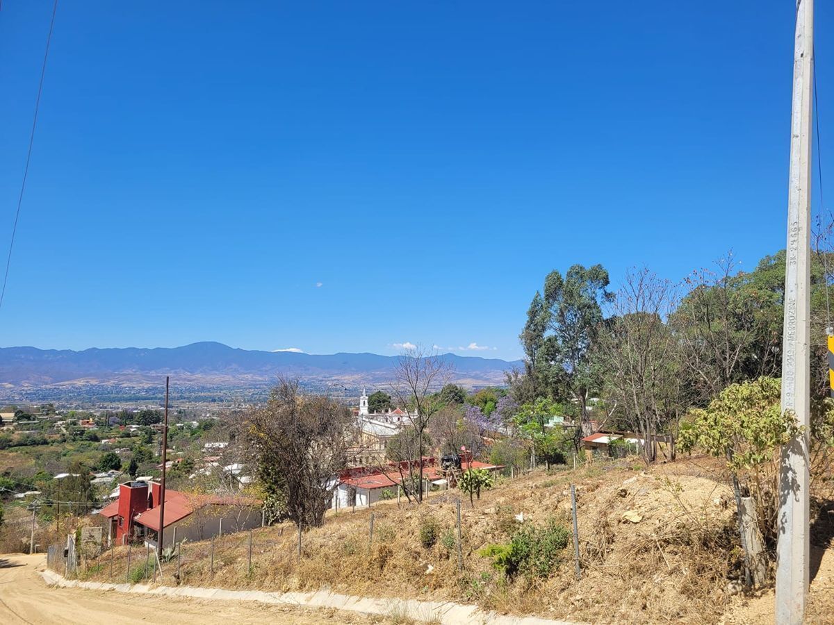 3 de 6