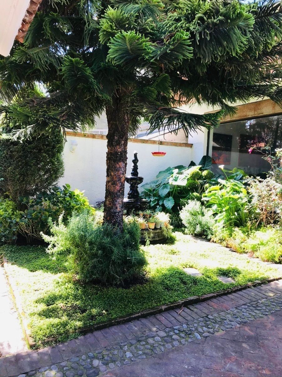 4 de 50