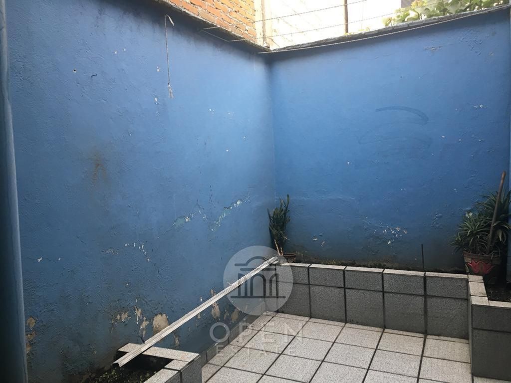 6 de 19
