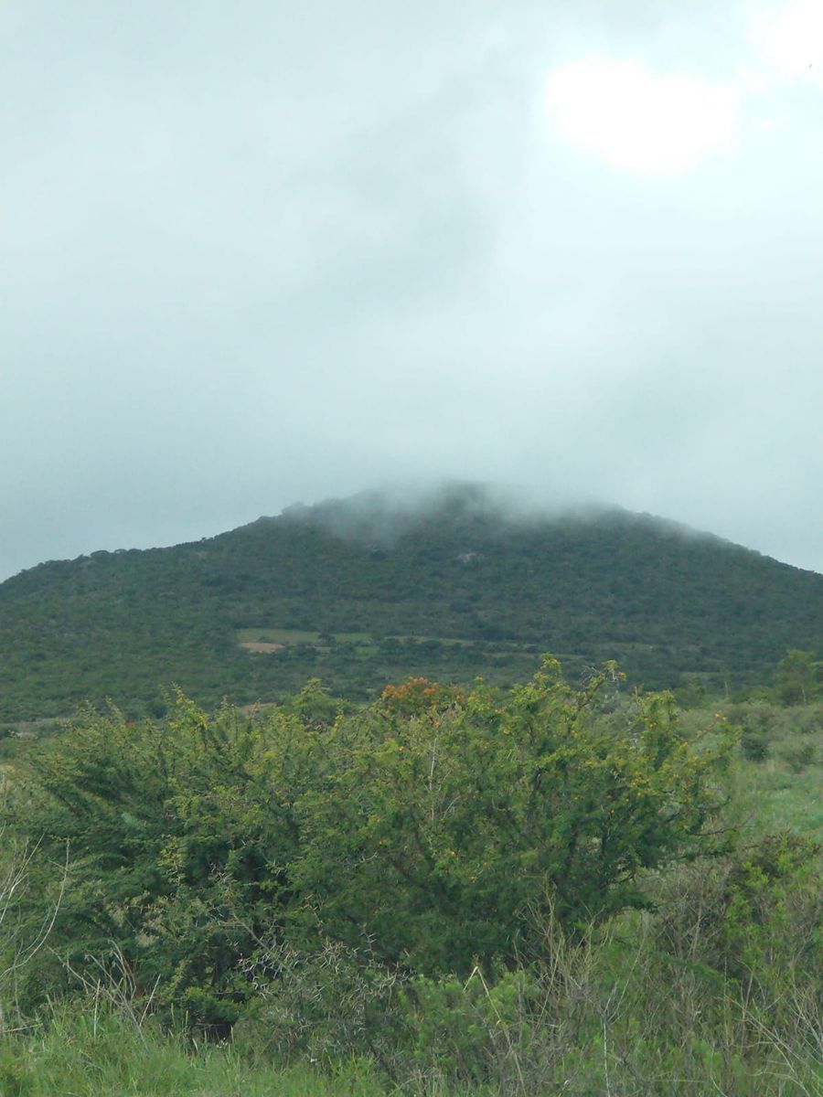 7 de 10
