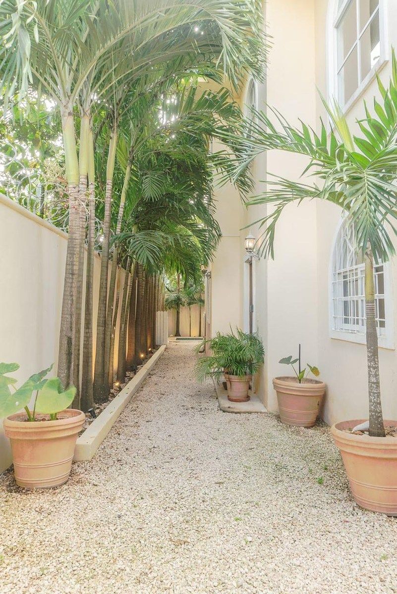 Apartment in Tulum Centro, Tulum, photo 4 of 12