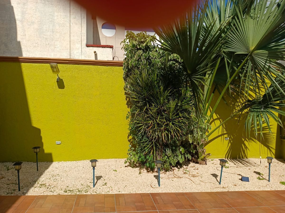 4 de 29