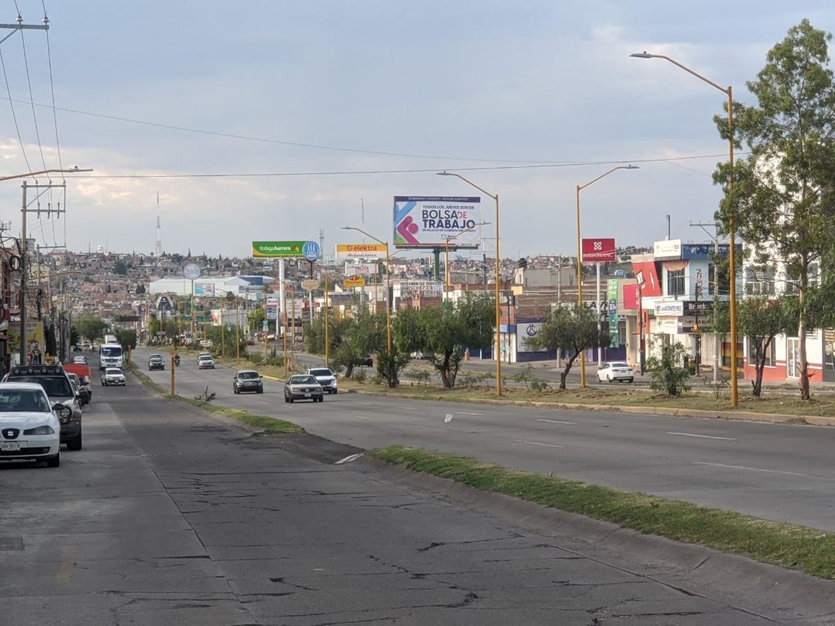 11 de 11