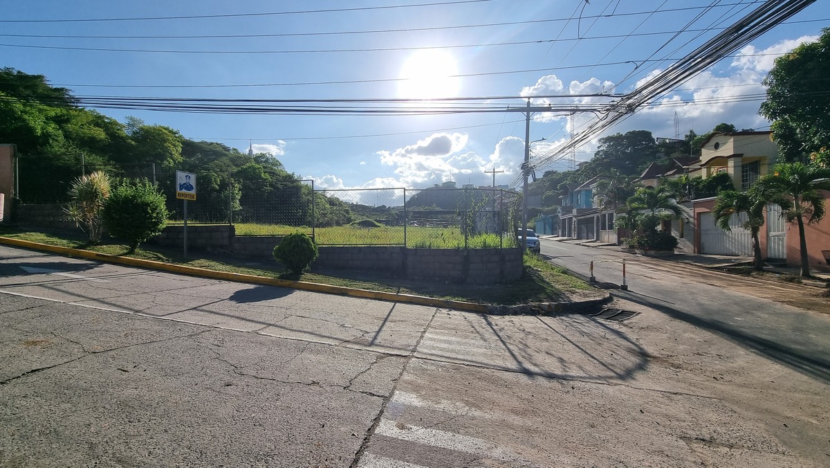 20 de 20