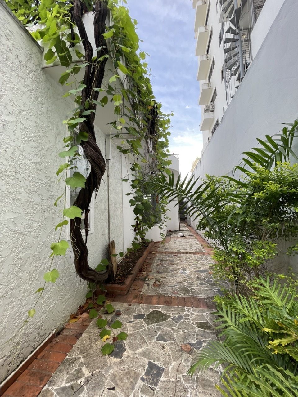 19 de 48
