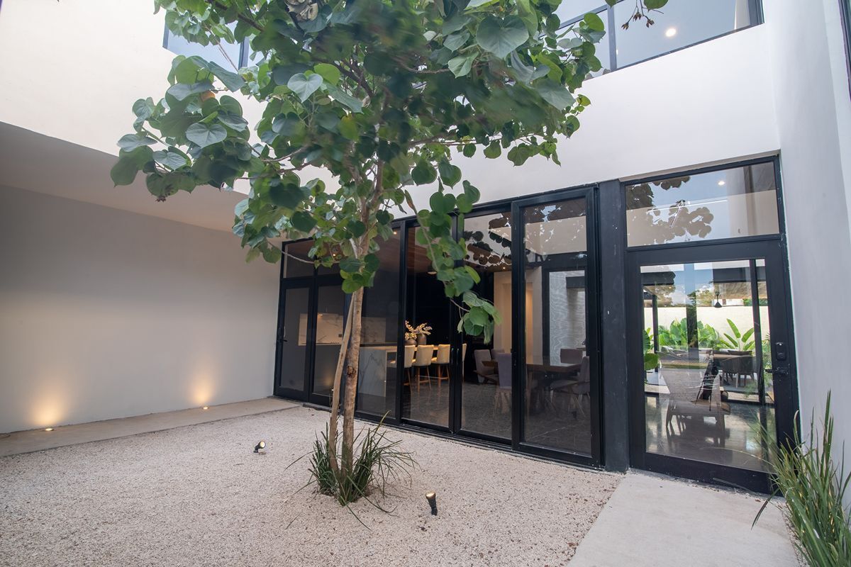 AREA DE LUSZ Y VENTILACION DECORADA CON UN HERMOSO ARBOL