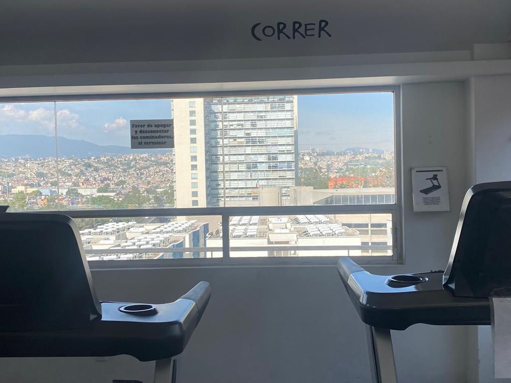 15 de 31: Vista del Gimnasio