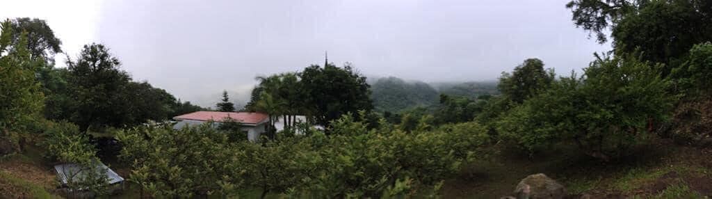 2 de 7