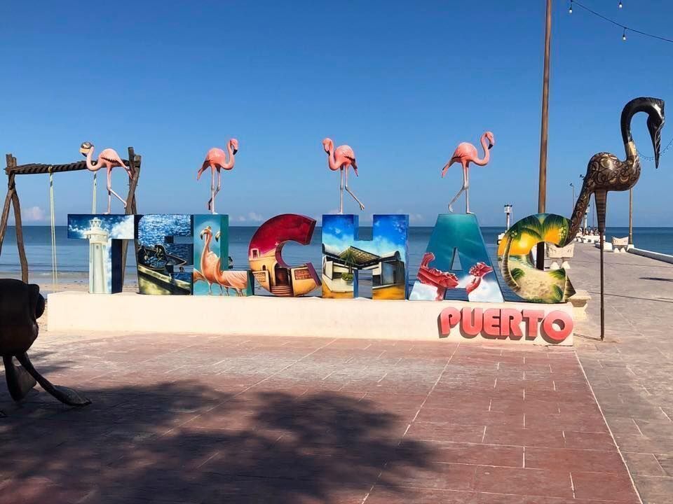 4 de 7