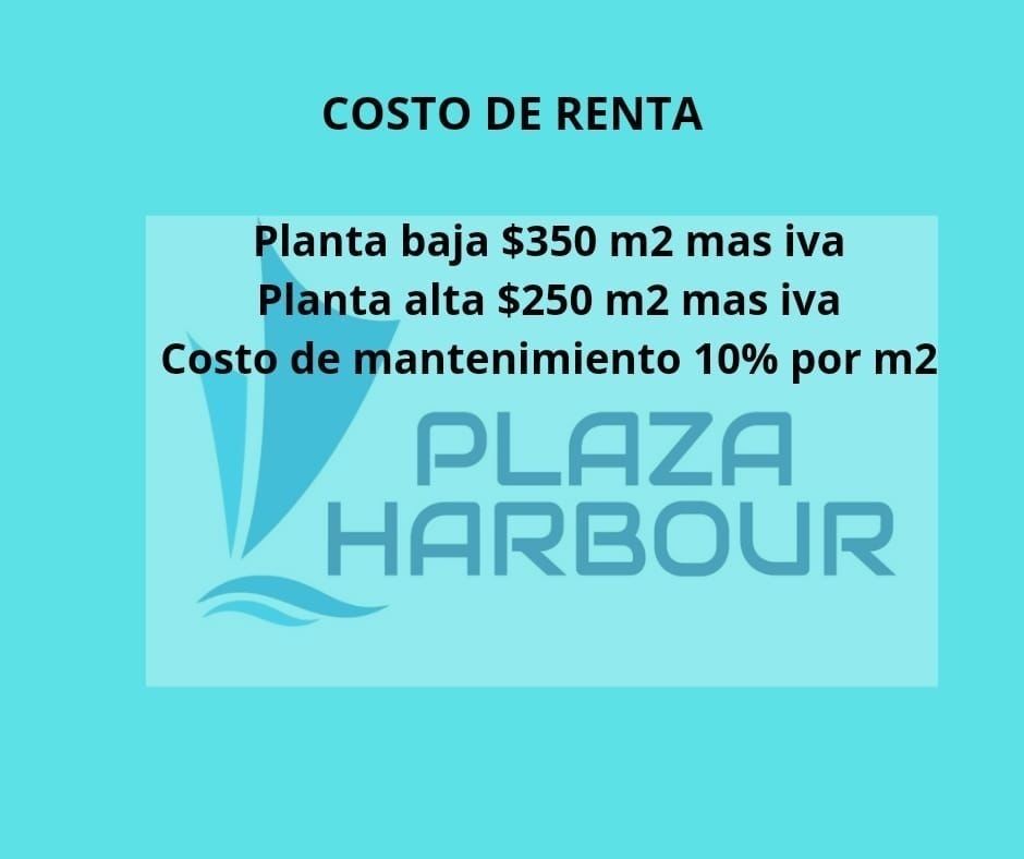 4 of 6: Precios