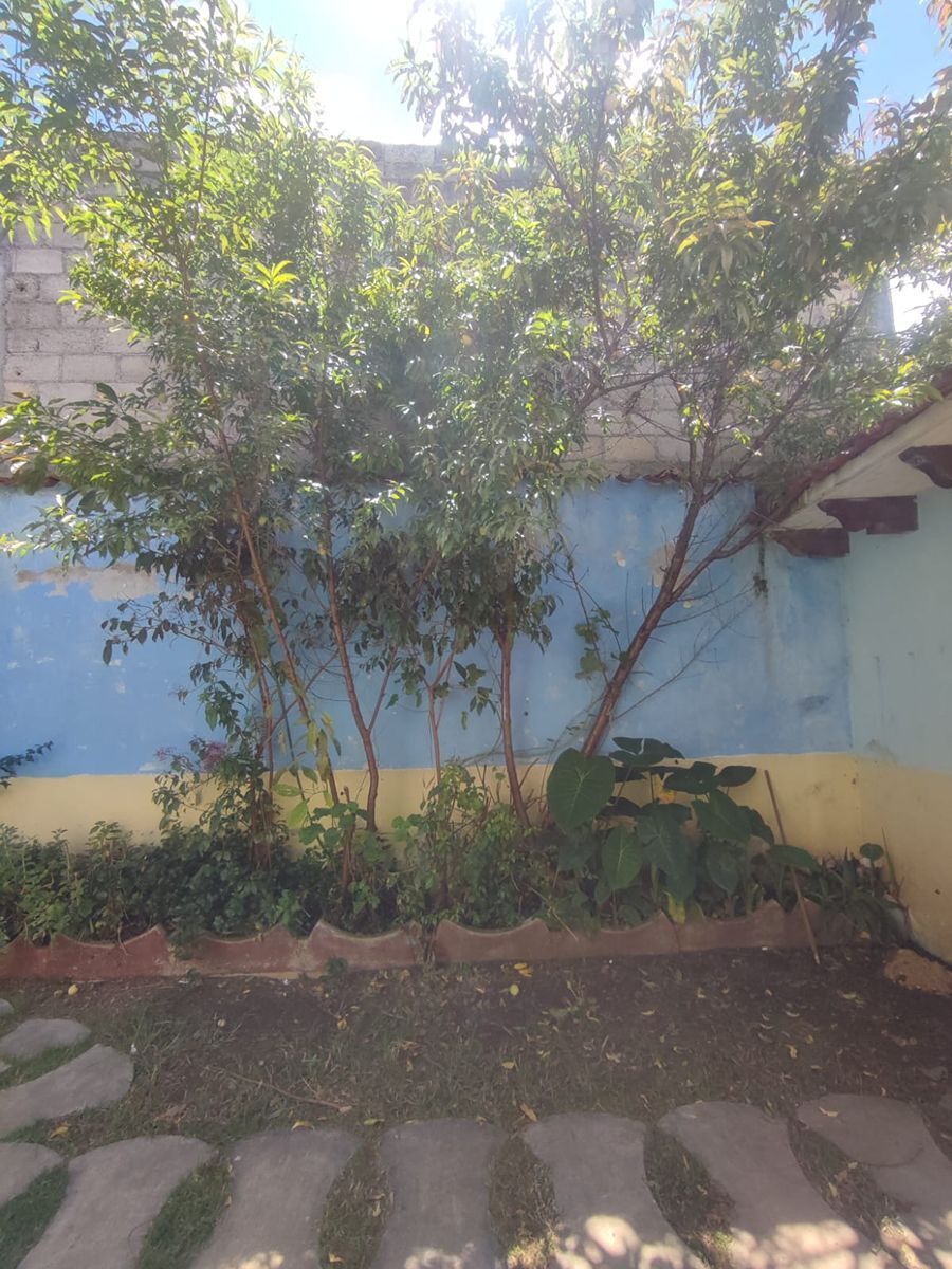 2 de 27: Jardinera Y Arboles