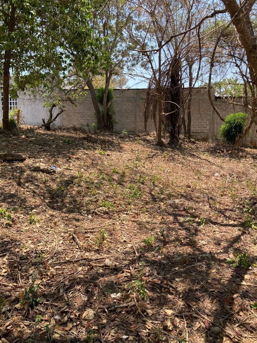 3 of 4: Vista por dentro del terreno