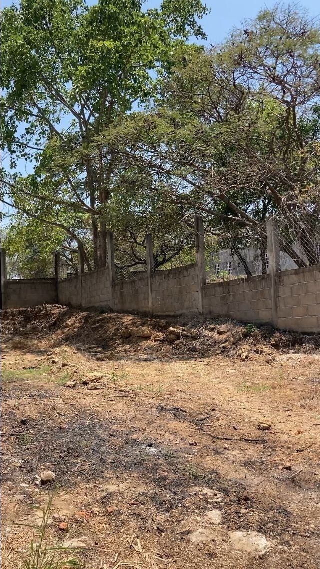 4 of 4: Vista por fuera del terreno