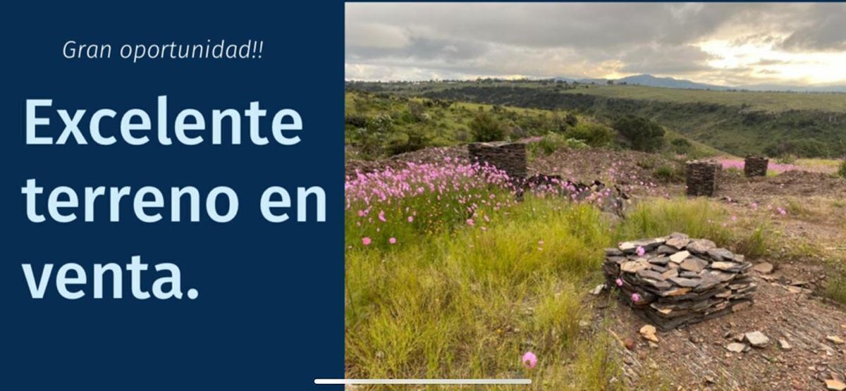 1 de 16