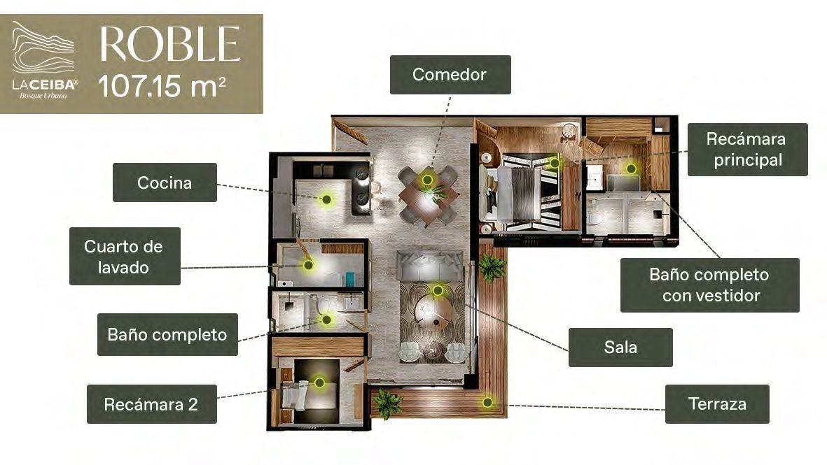Imagen 5 de 10