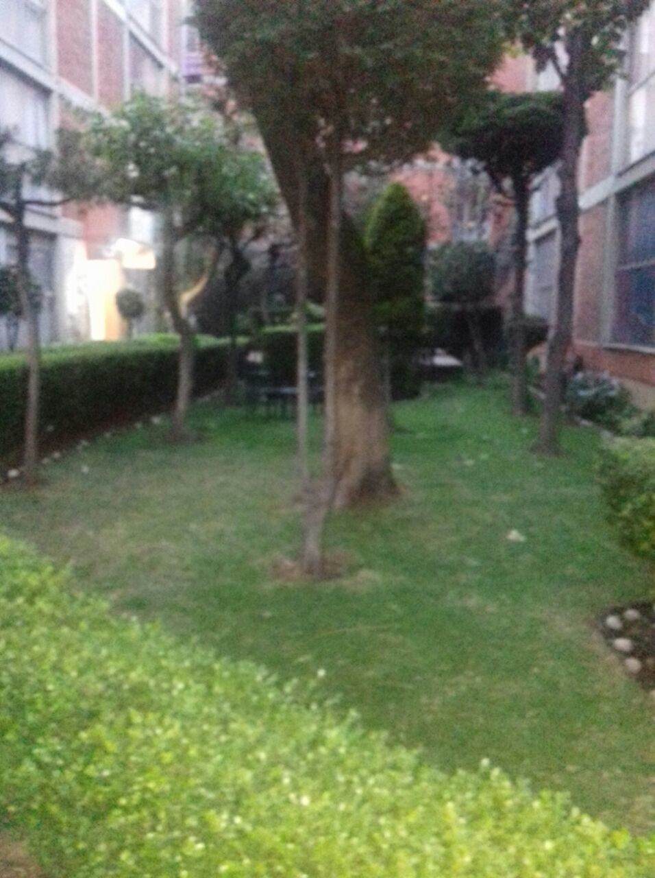 4 de 4
