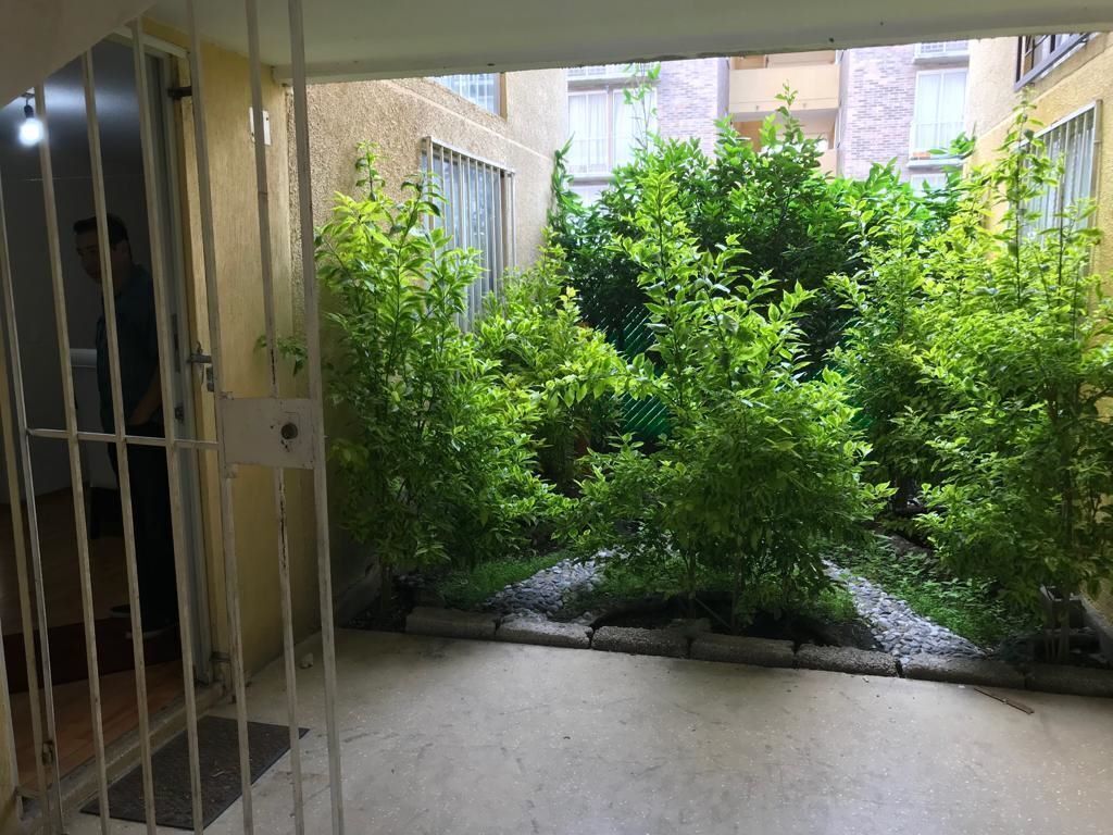 7 de 17