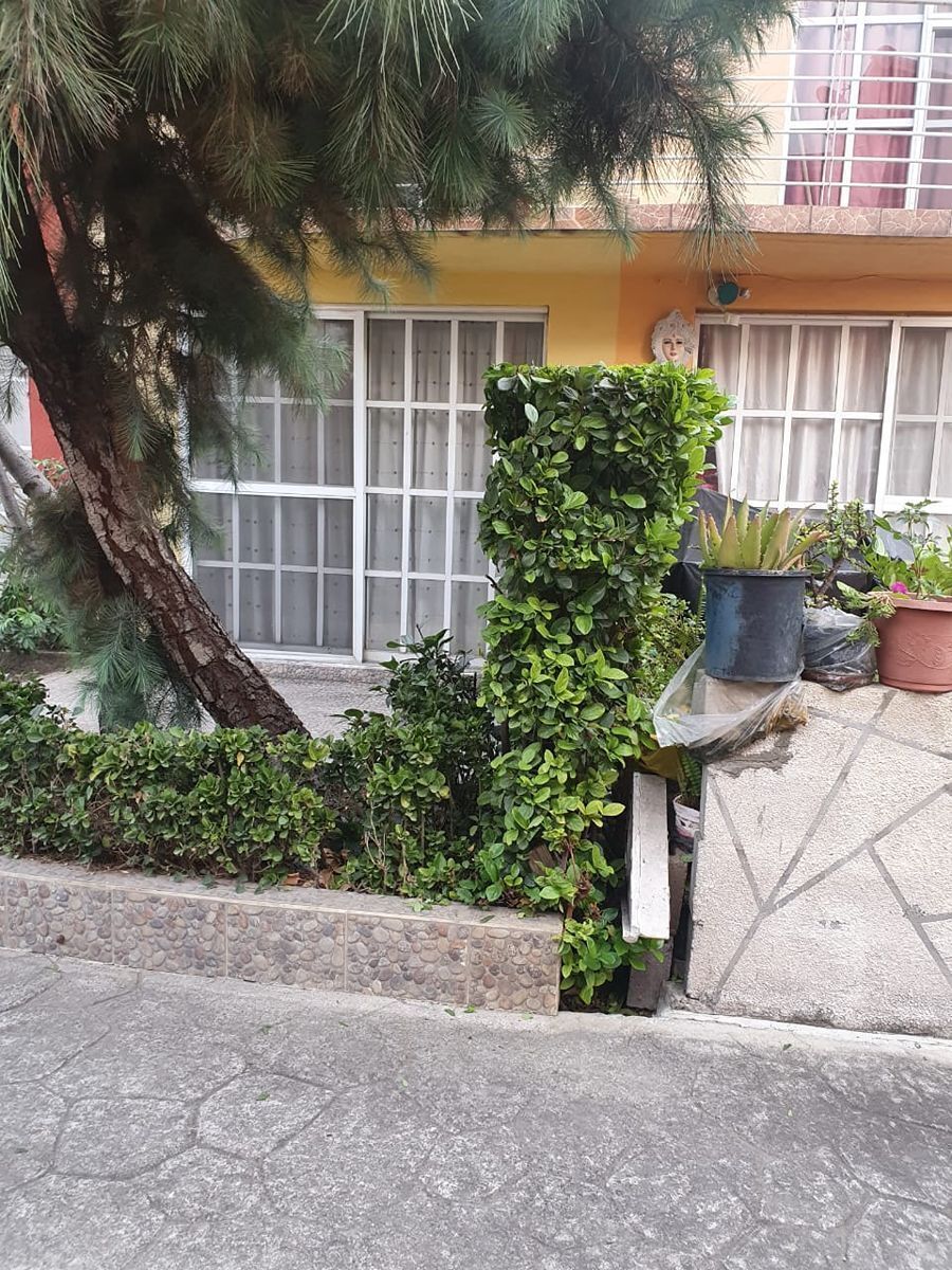4 de 20