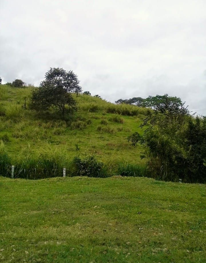 1 de 11