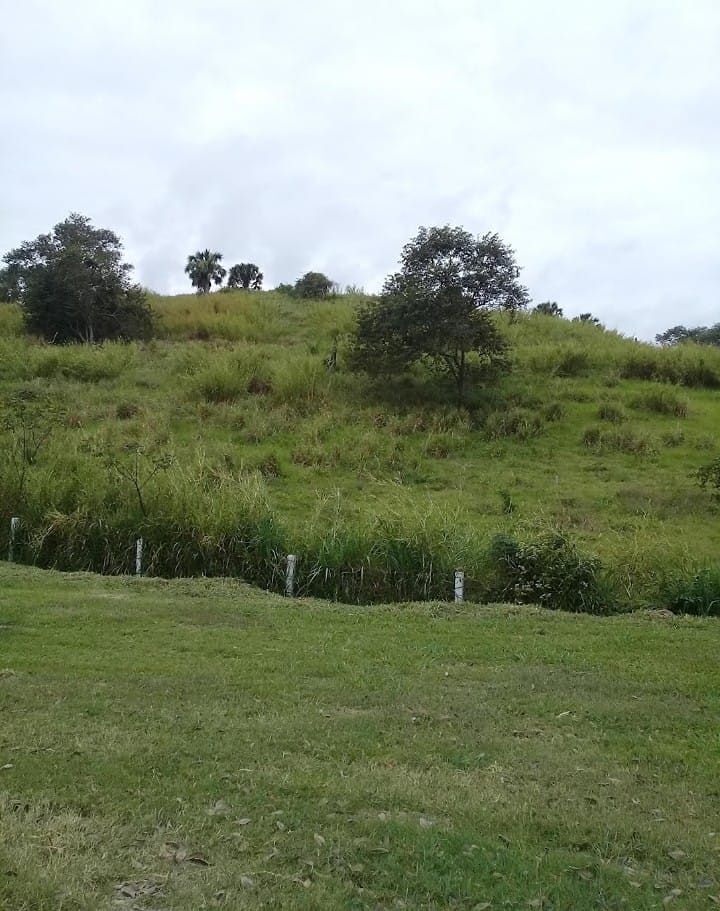 4 de 11
