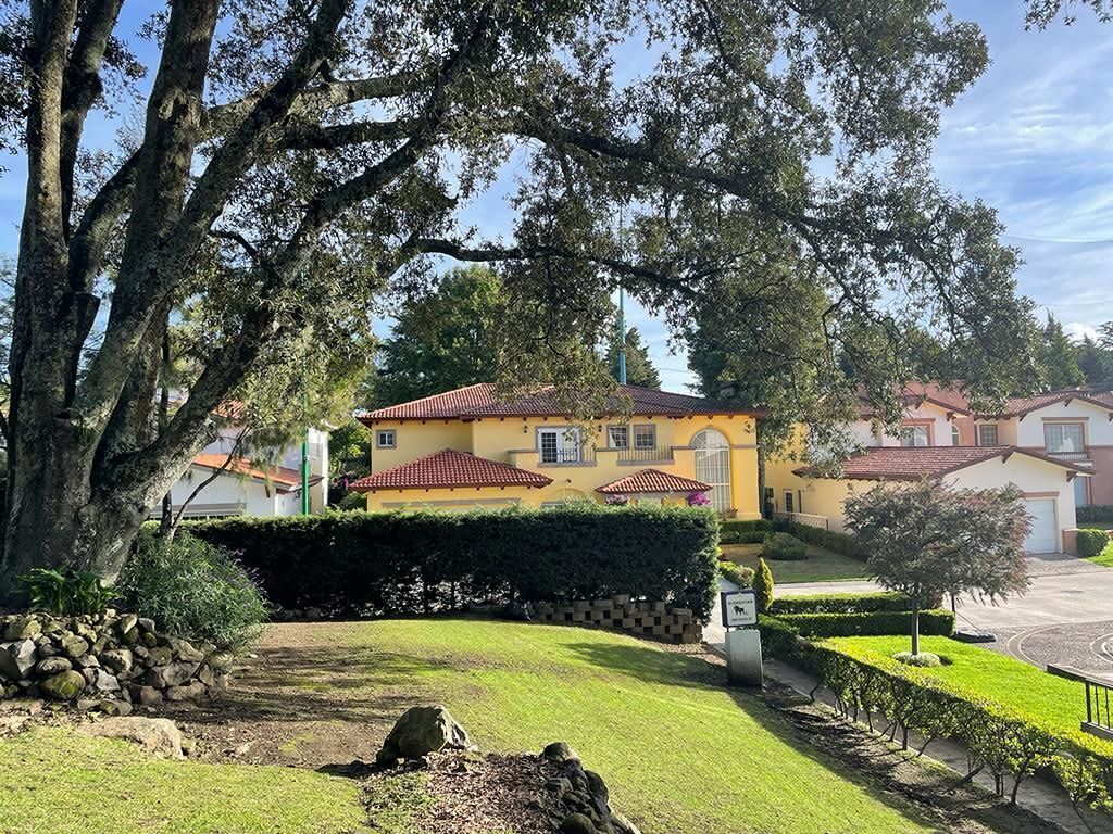 3 de 39: Vista de la casa desde el bosquecito