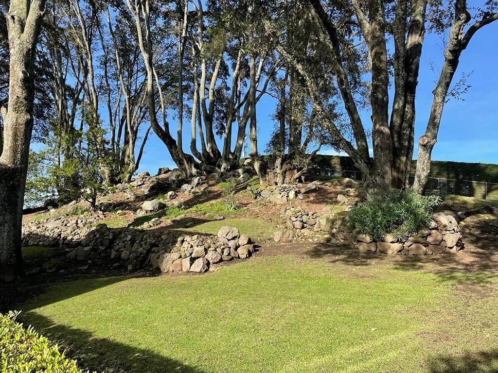 4 de 39: Bosquecito frente a la casa