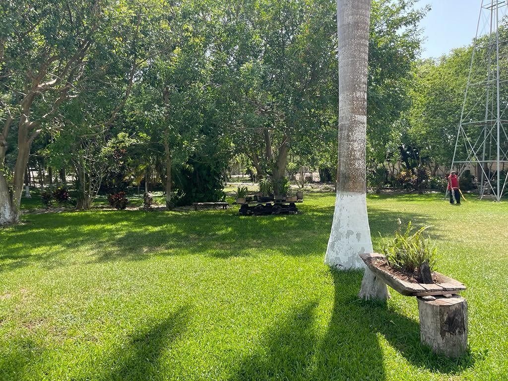 3 de 18