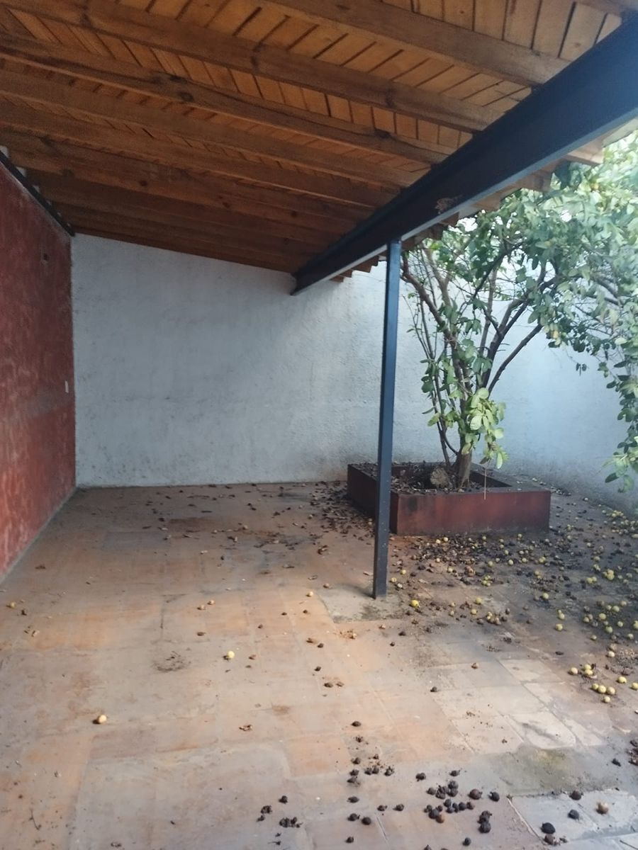11 de 14
