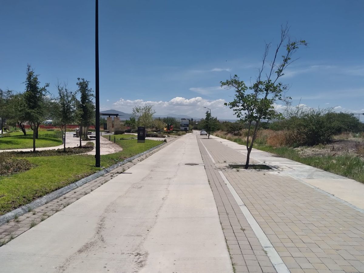 Imagen 4 de 8