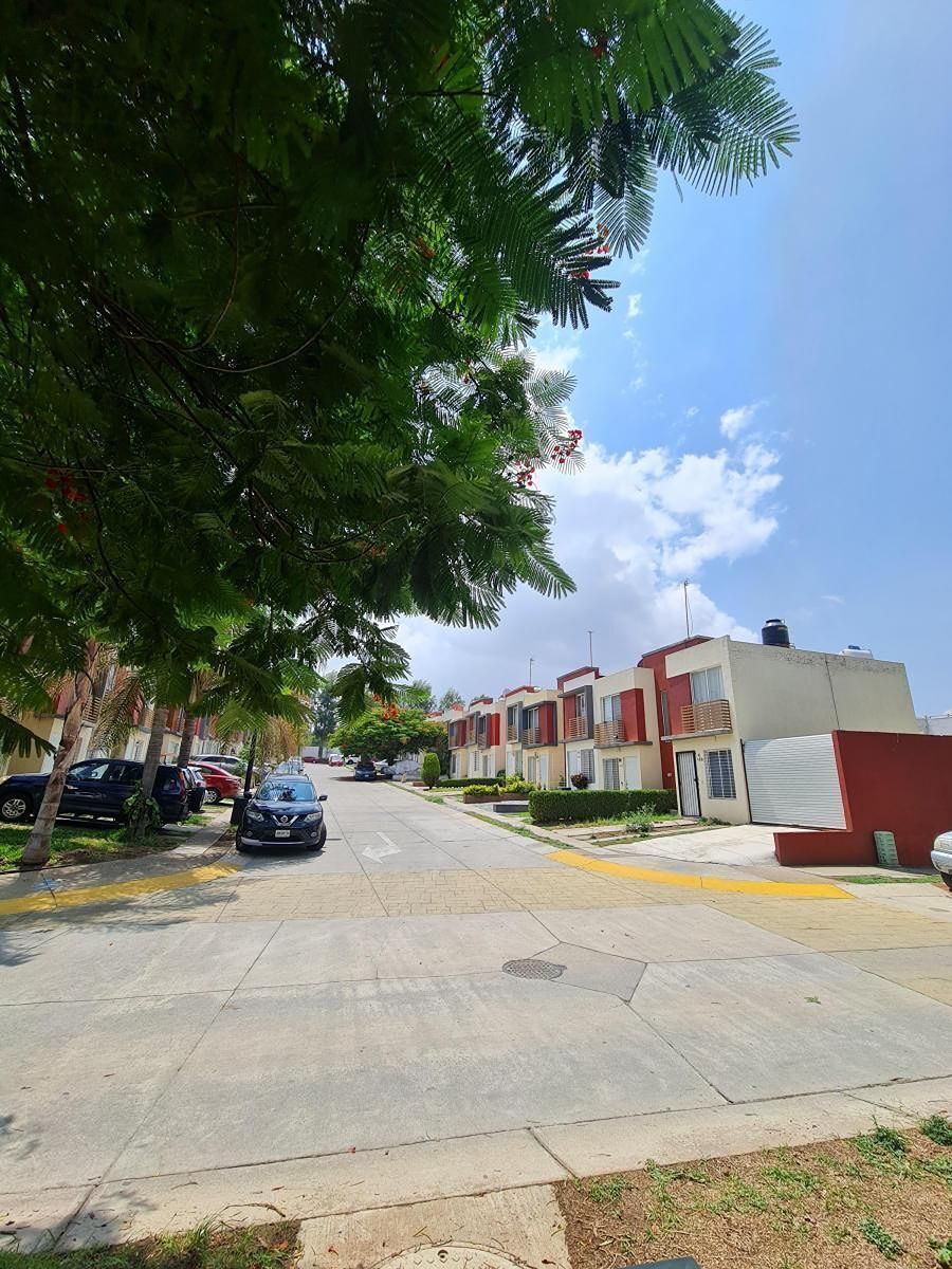 5 de 19