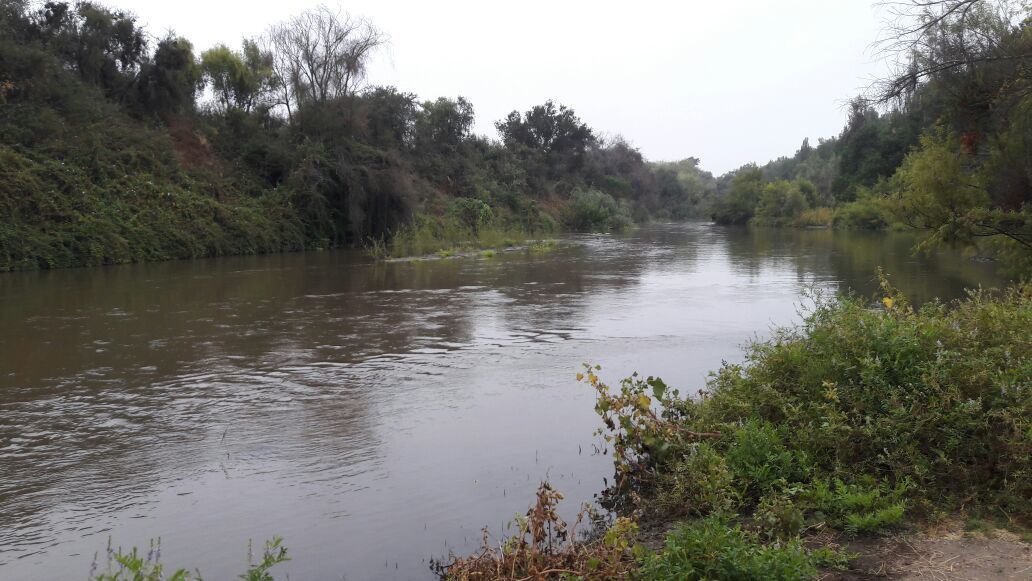 9 de 50: Río Estero Puangue
