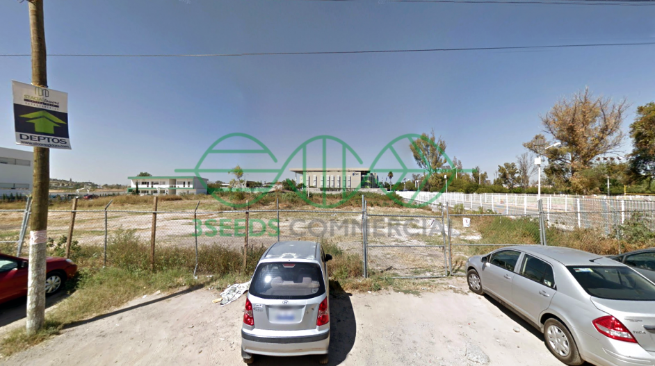 Imagen 3 de 7
