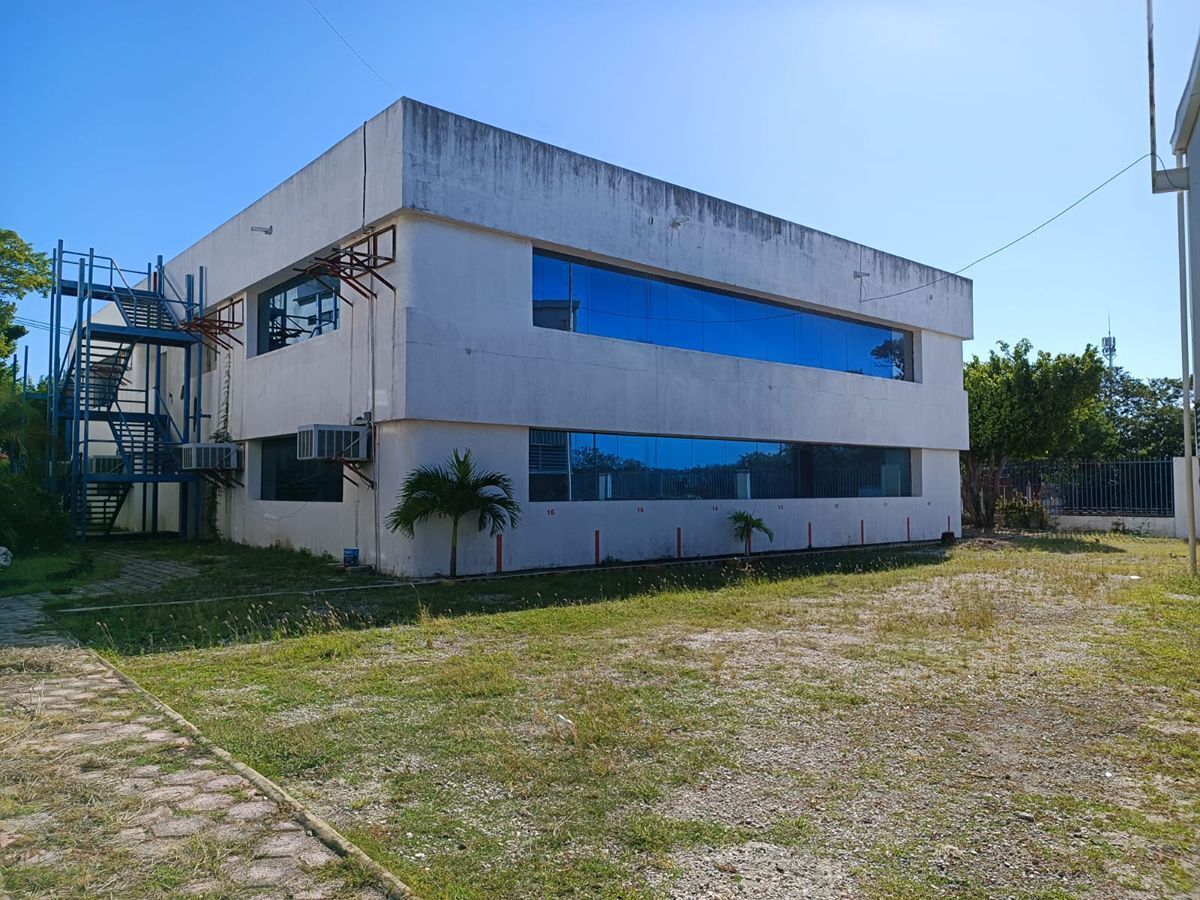4 de 23
