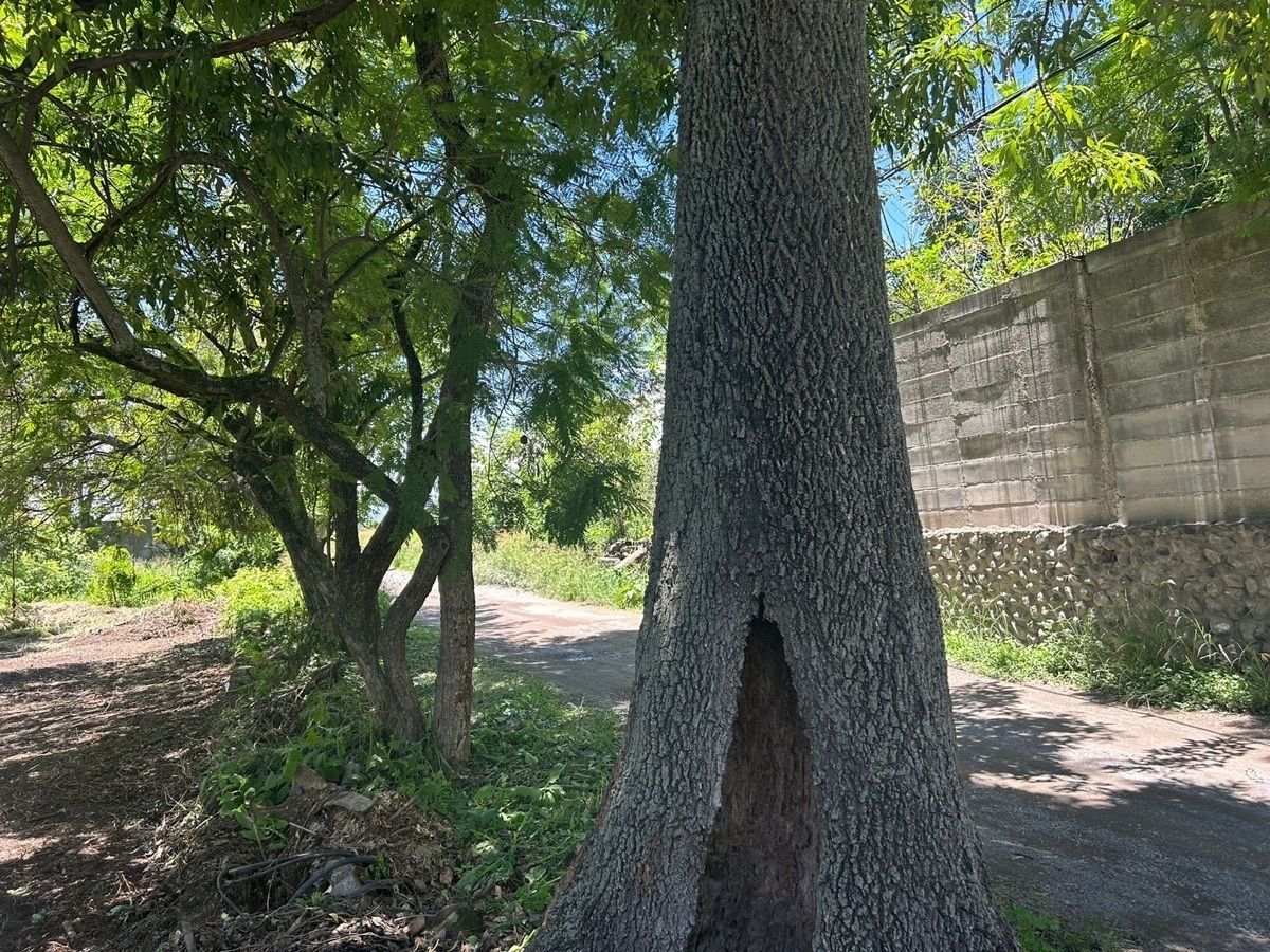 6 de 11