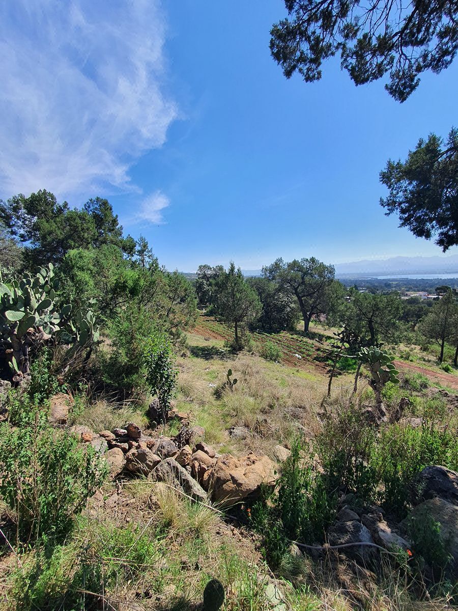 Terreno en venta en Zumpango Atlangatepec Tlax.