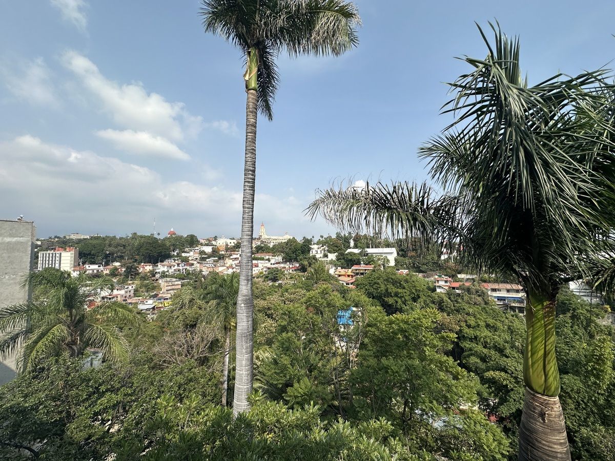 13 de 14