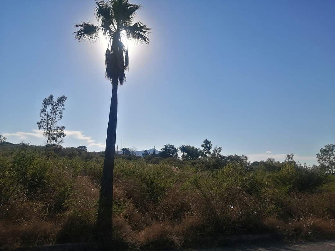 Terreno en Ixtlahuacan de los membrillos - foto 2