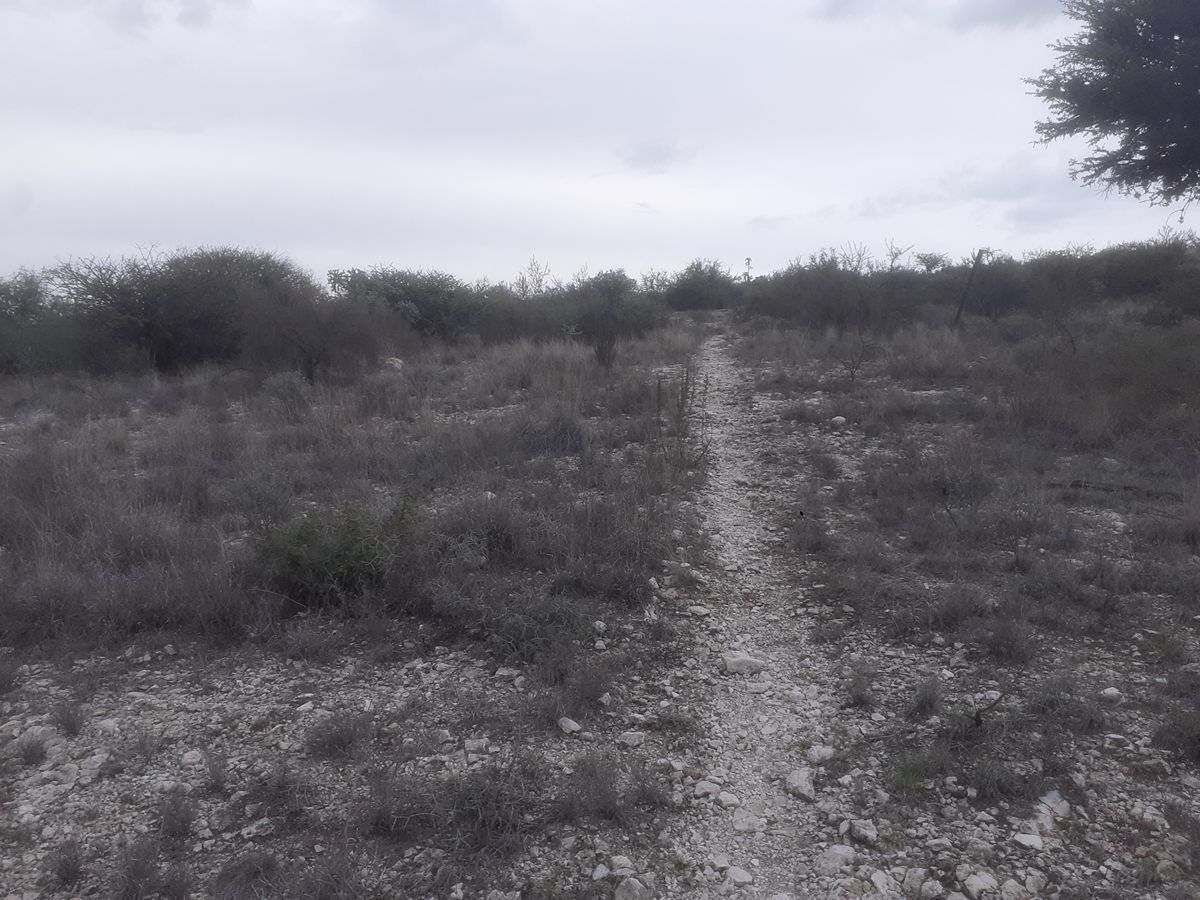 Country Land for Sale in Montecillo de Nieto, San Miguel de Allende.