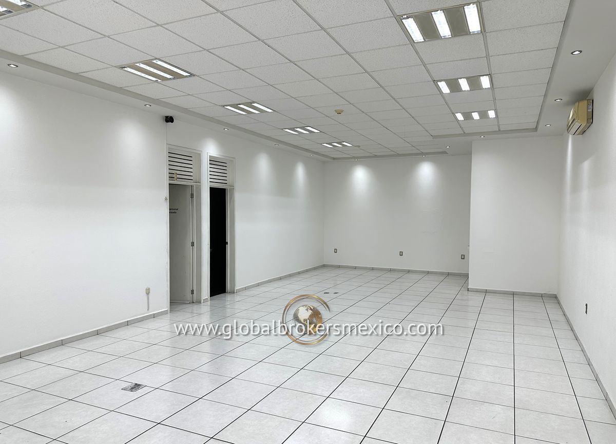 Imagen 3 de 10