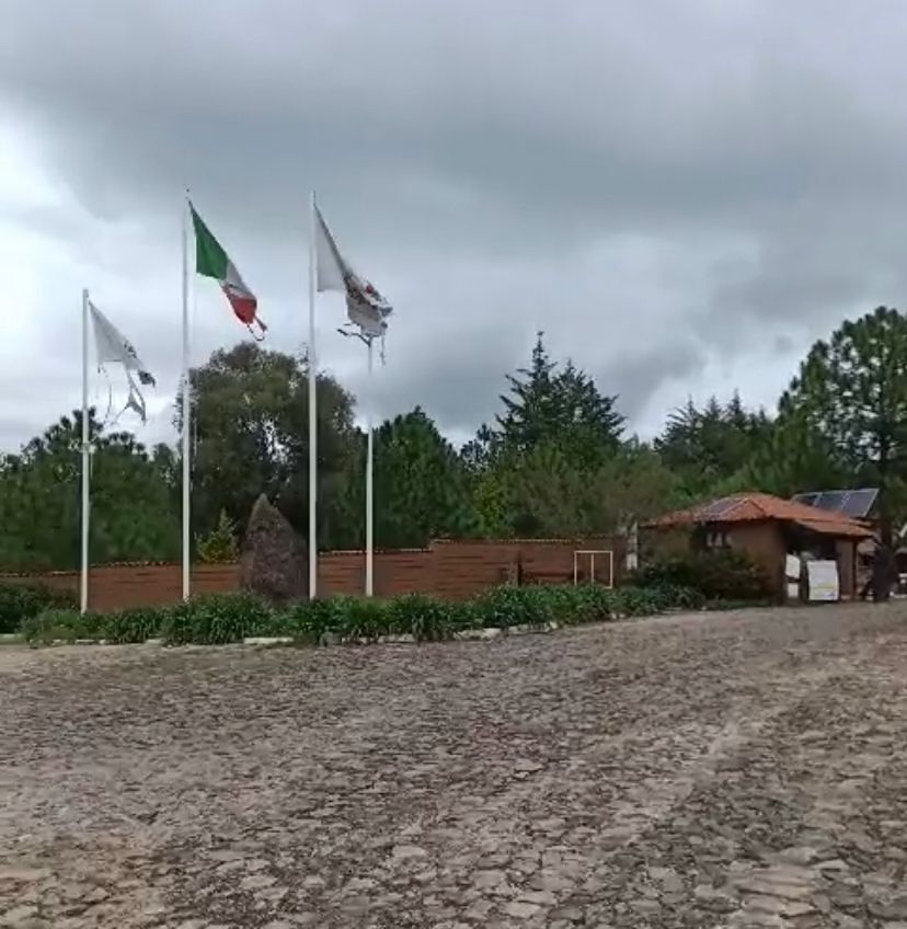 1 de 17