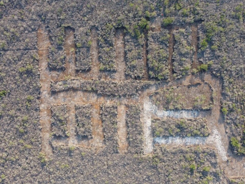 3 de 10: Terreno en venta, Mérida