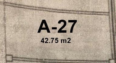 3 de 6