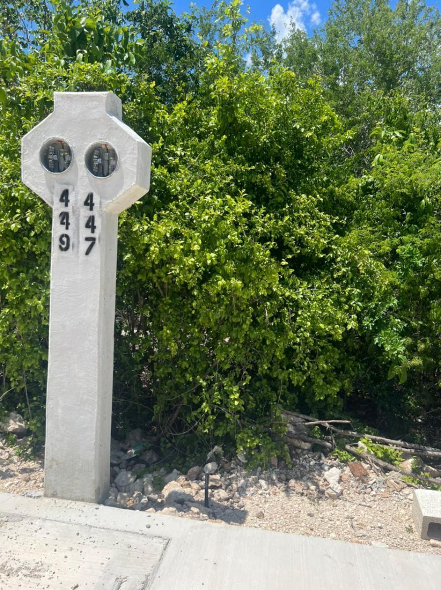 3 de 8